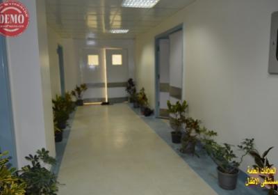 013 1196 600 350 100